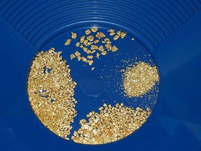 Large_Grain_and_Fine_Placer_Gold