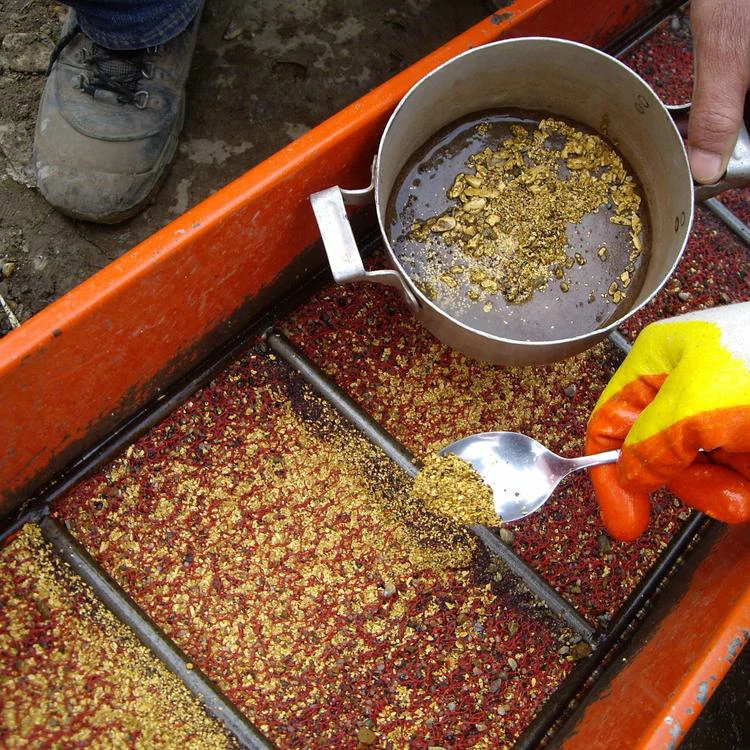 Use a sluice box to extract gold