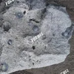 Scories d'acier inoxydable
