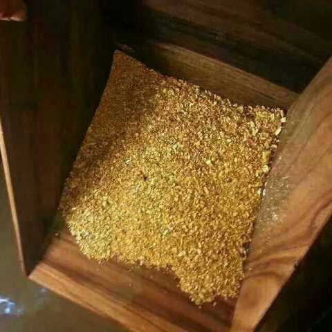 placer gold in Republic of Suriname