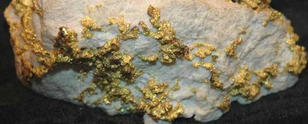 Coarse-grained Dipping Quartz Veinstone Gold Ore