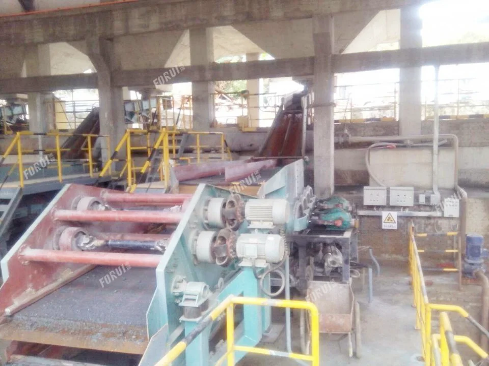 Polymetallic copper-tin Ore Beneficiation Plant in Yunnan6