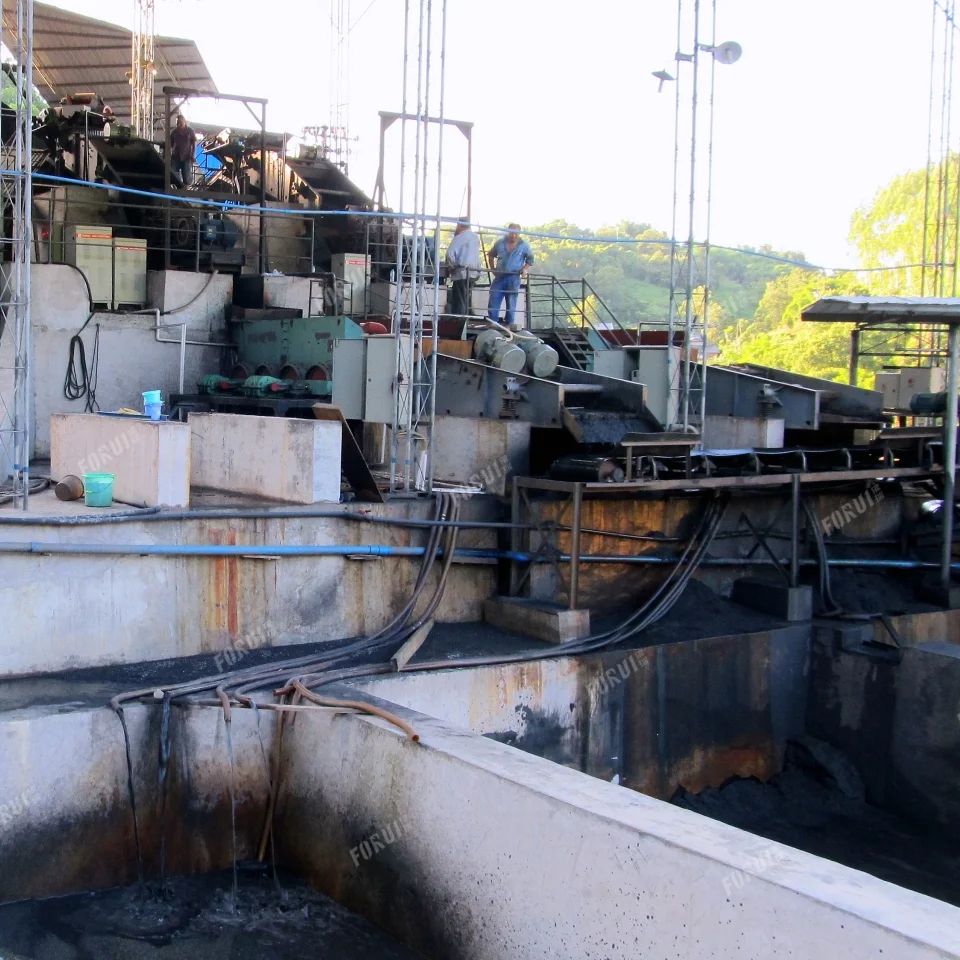 Pyrite Beneficiation Plant in Chongqing, China IMG_0689