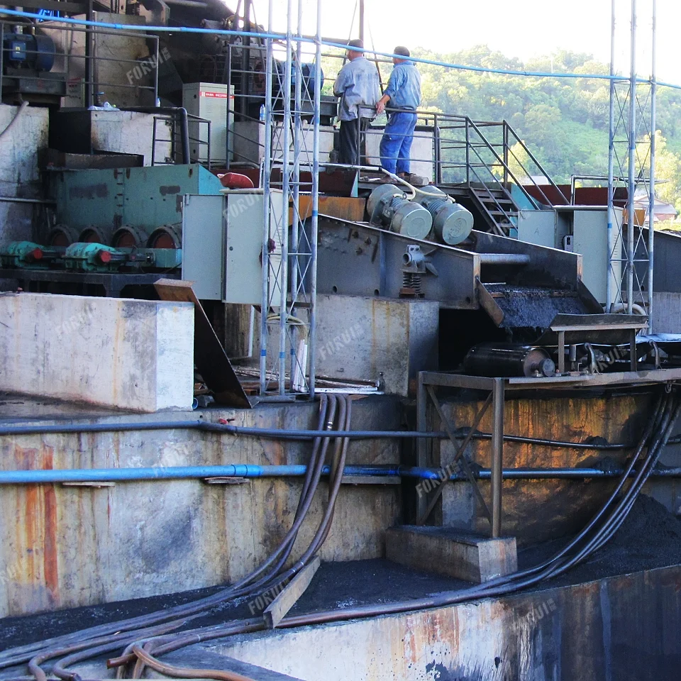 Pyrite Beneficiation Plant in Chongqing, China IMG_0691