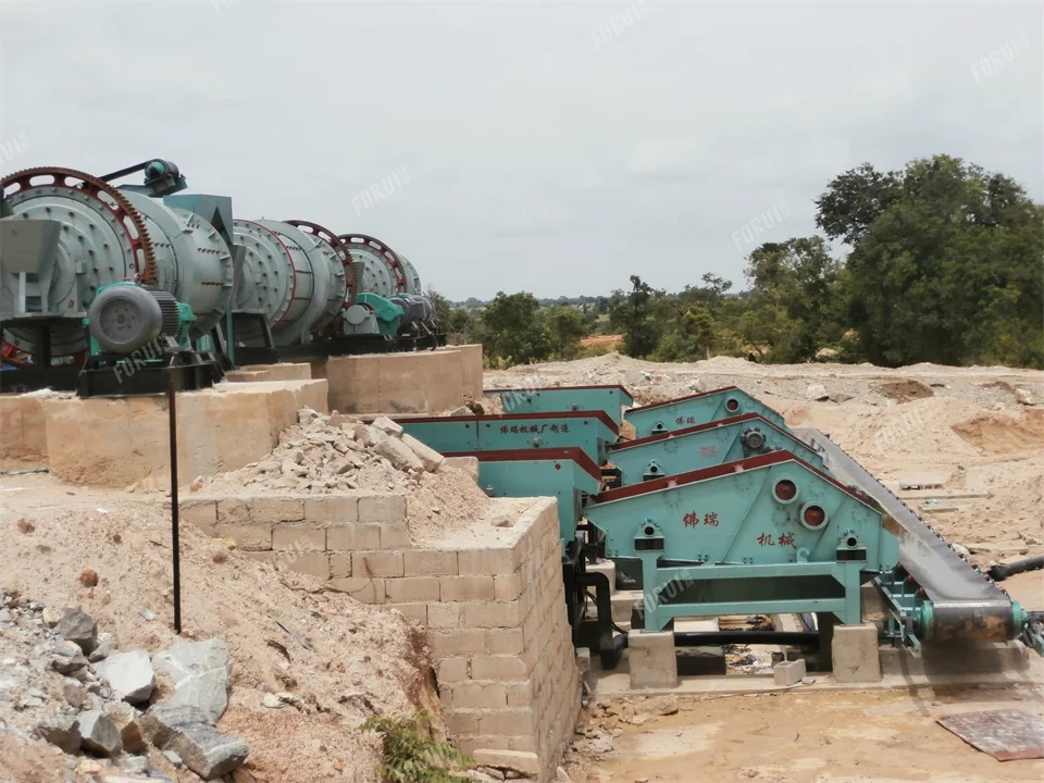 Scheelite Beneficiation Plant in Nigeria P8110015